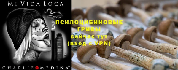 эйфоретик Надым