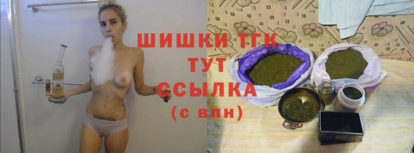 гашик Балахна
