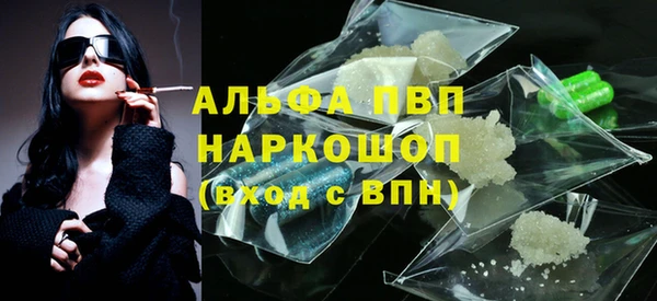 гашик Балахна