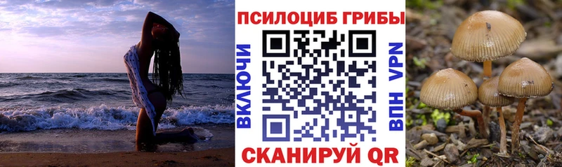 Псилоцибиновые грибы мухоморы  Зубцов 